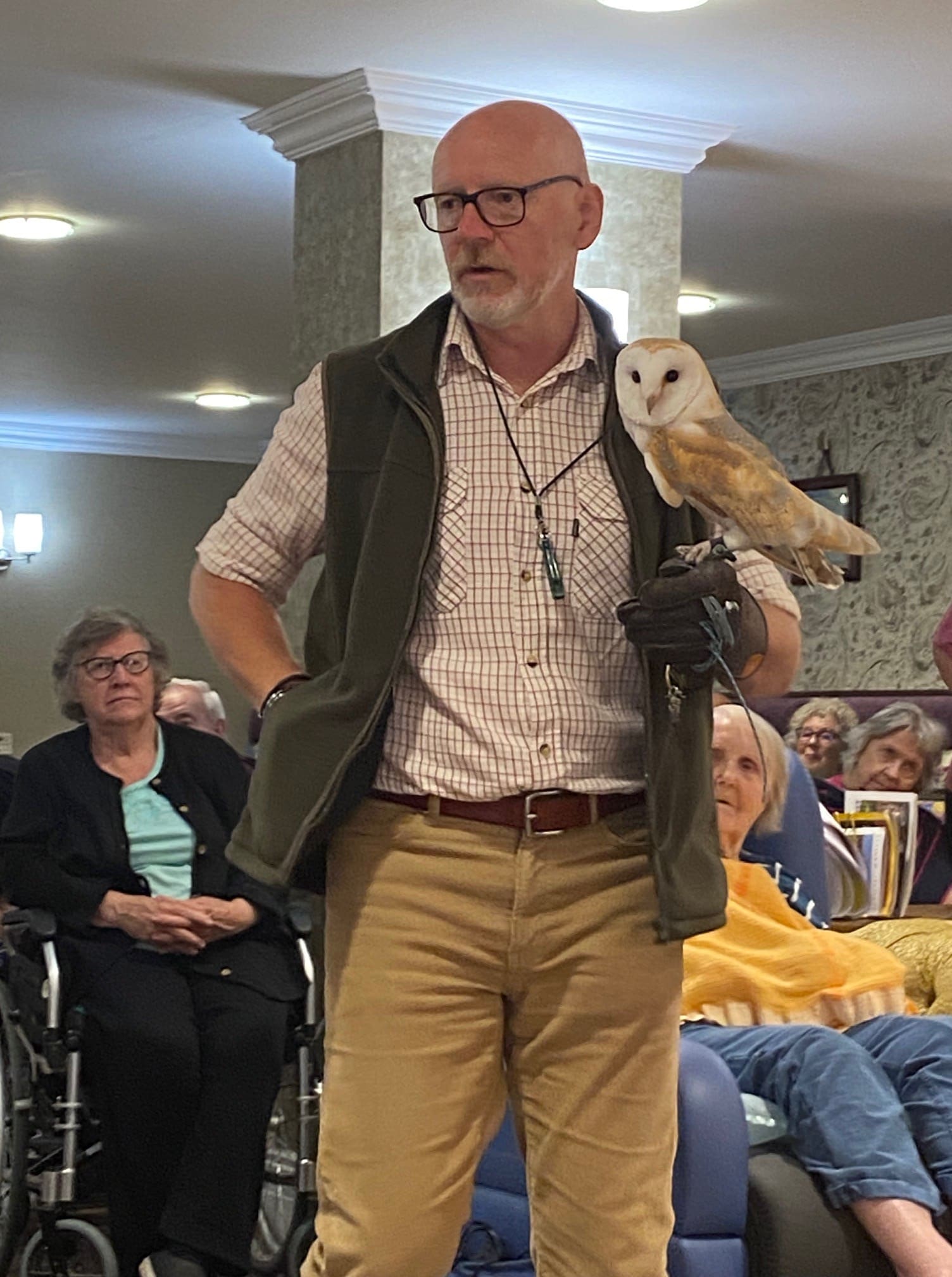 An unforgettable afternoon with K&H Falconry