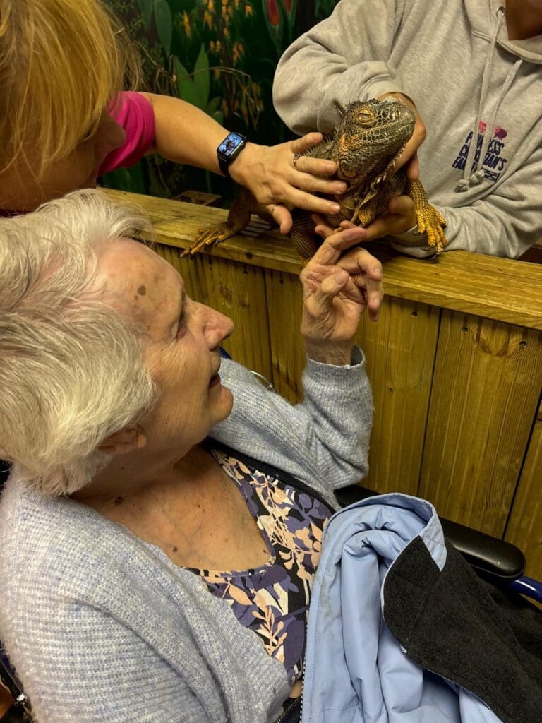 A resident from our Tonbridge House care home stroking a lizard.
