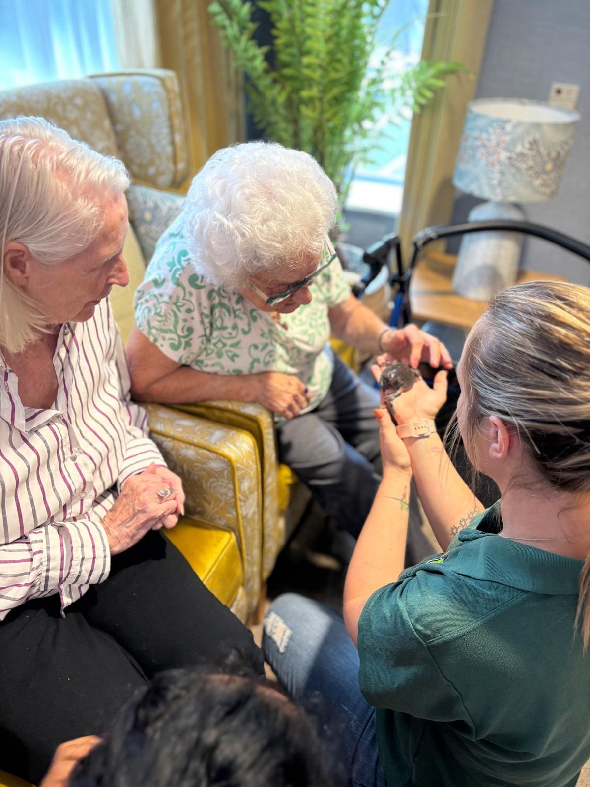 Celebrating National Lizard Day in style