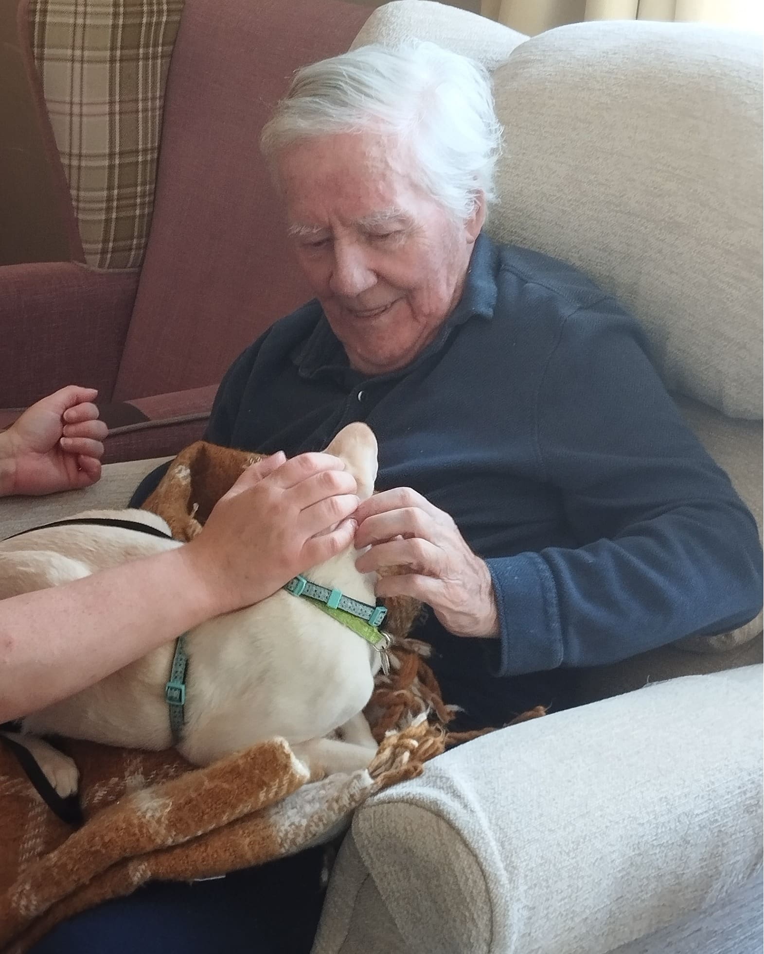 Feline friends visit Hartfield House