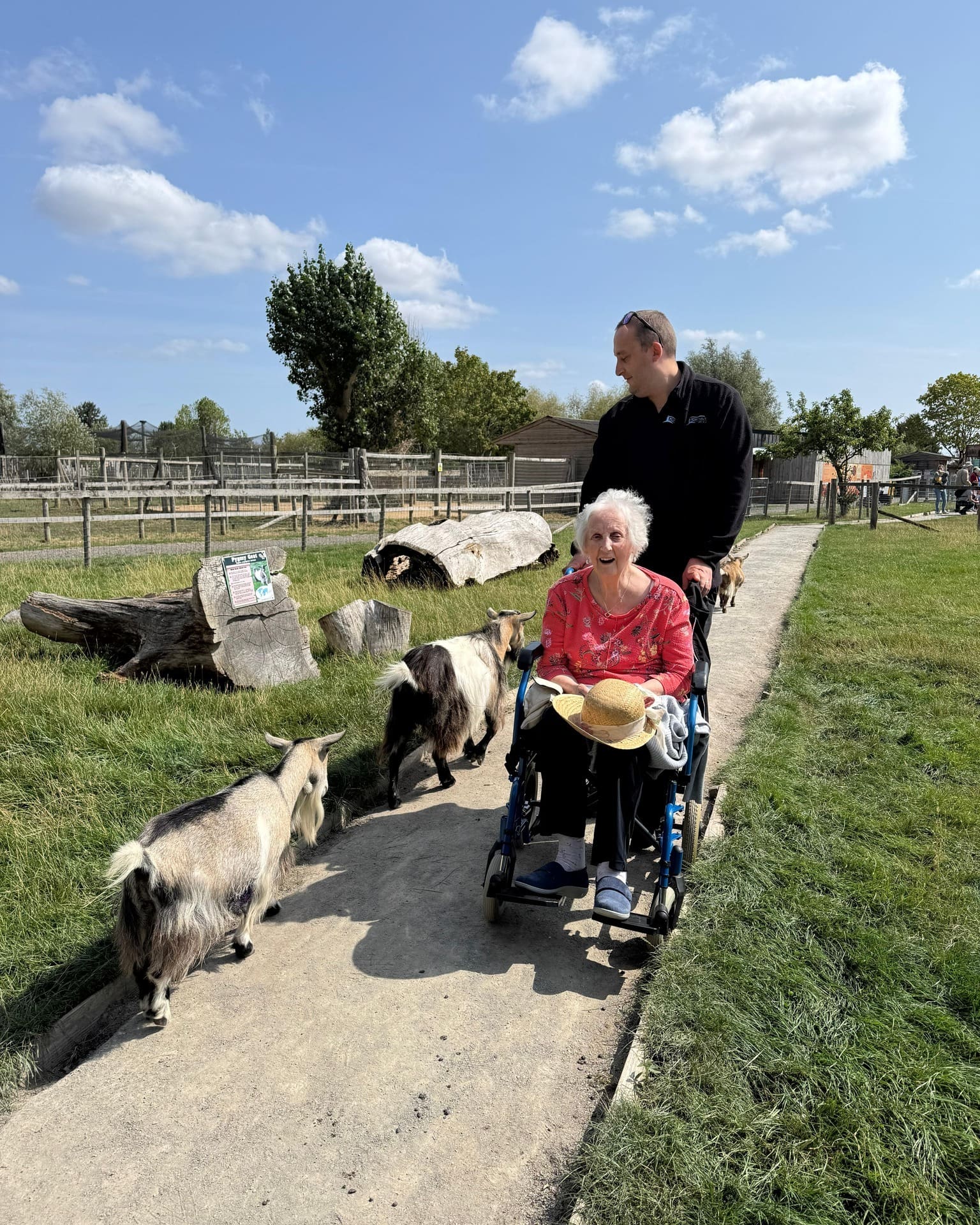 A wild adventure at All Things Wild